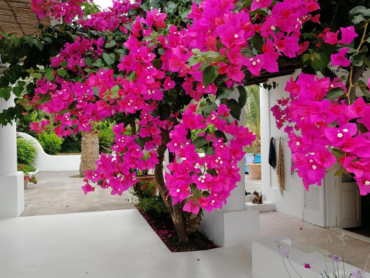 Casa Carlotta Bed and Breakfast Στρόμπολι Εξωτερικό φωτογραφία